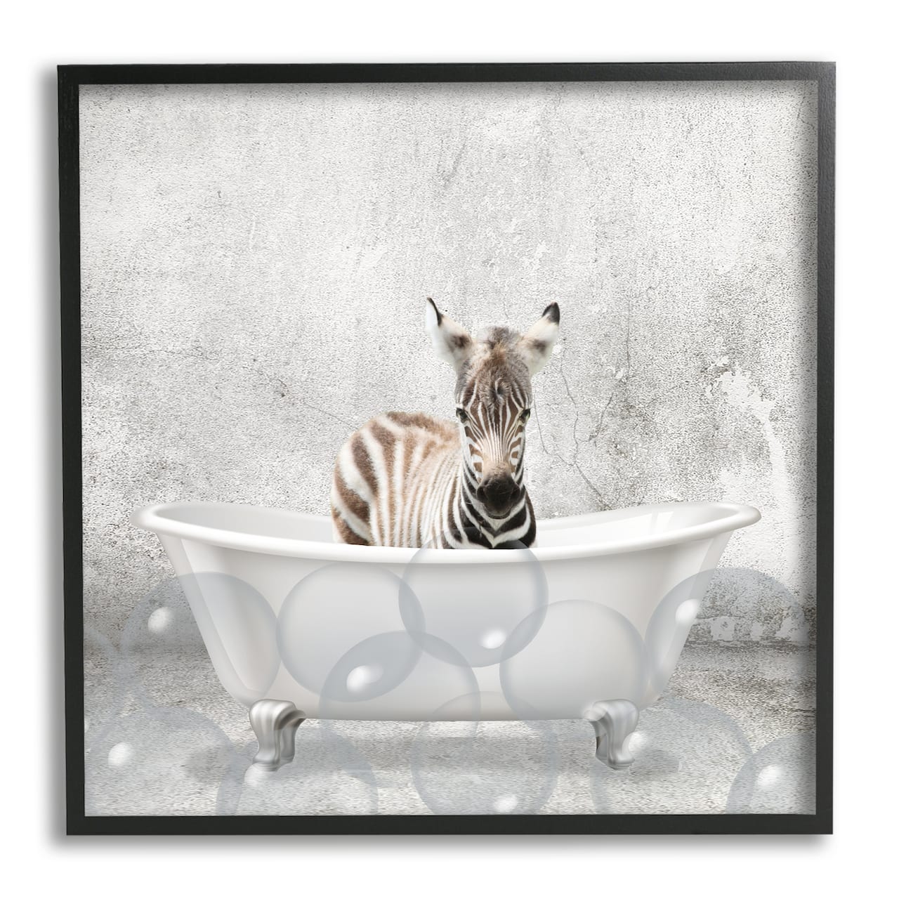 Stupell Industries Baby Zebra Bath Time Wall Art in Black Frame